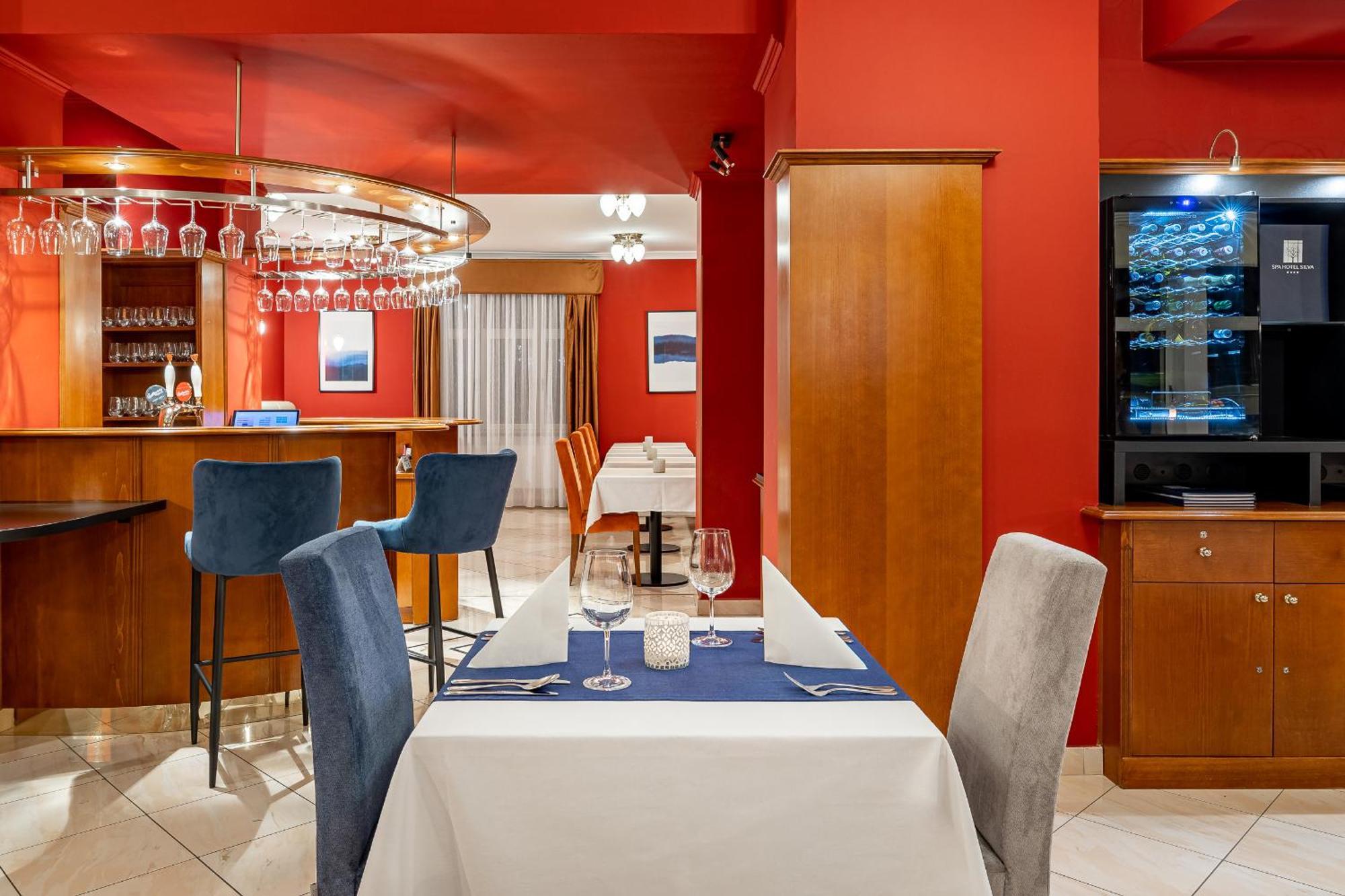 Mariánské Lázně Spa & Wellness Hotel Silva מראה חיצוני תמונה