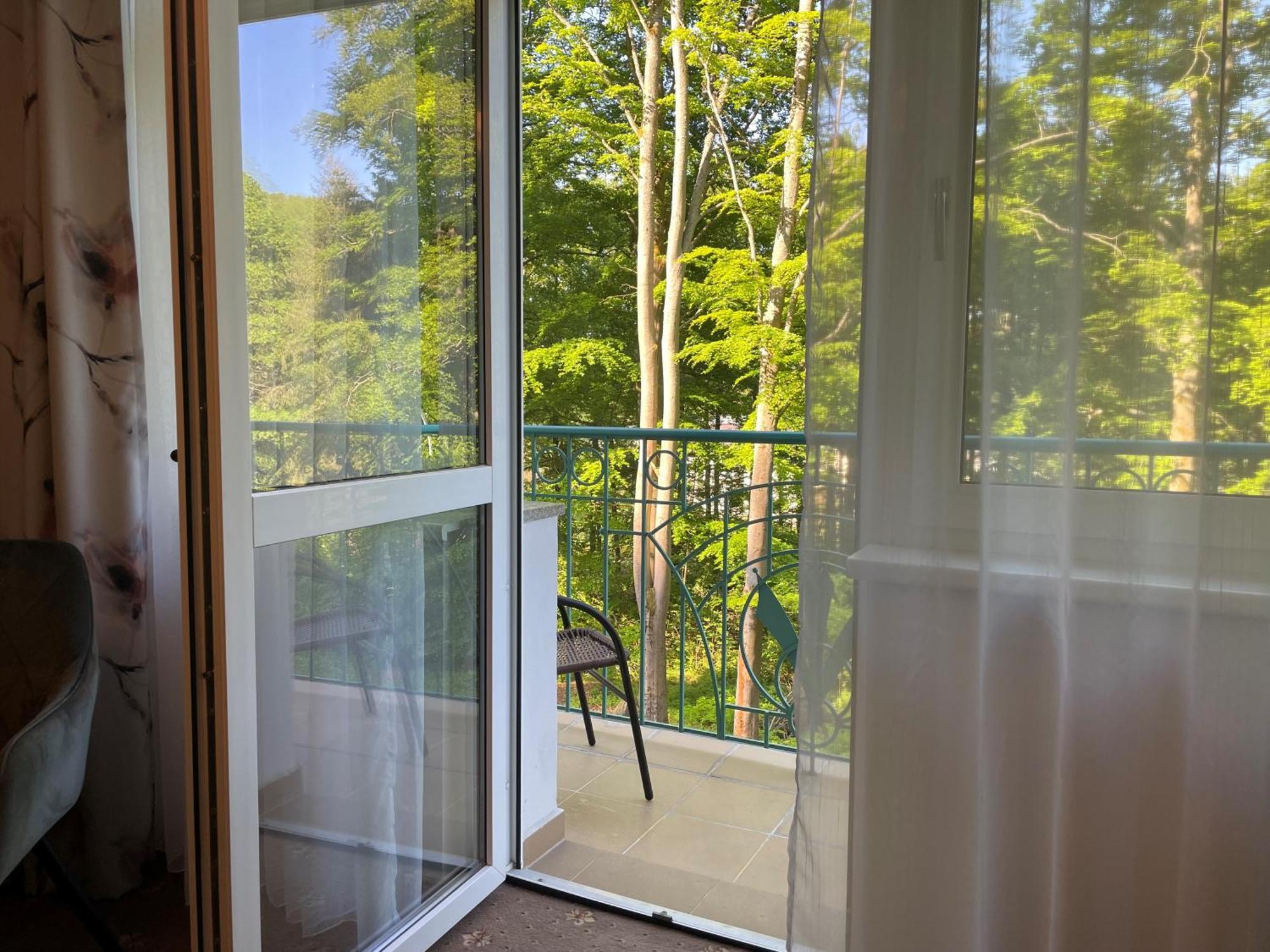 Mariánské Lázně Spa & Wellness Hotel Silva מראה חיצוני תמונה