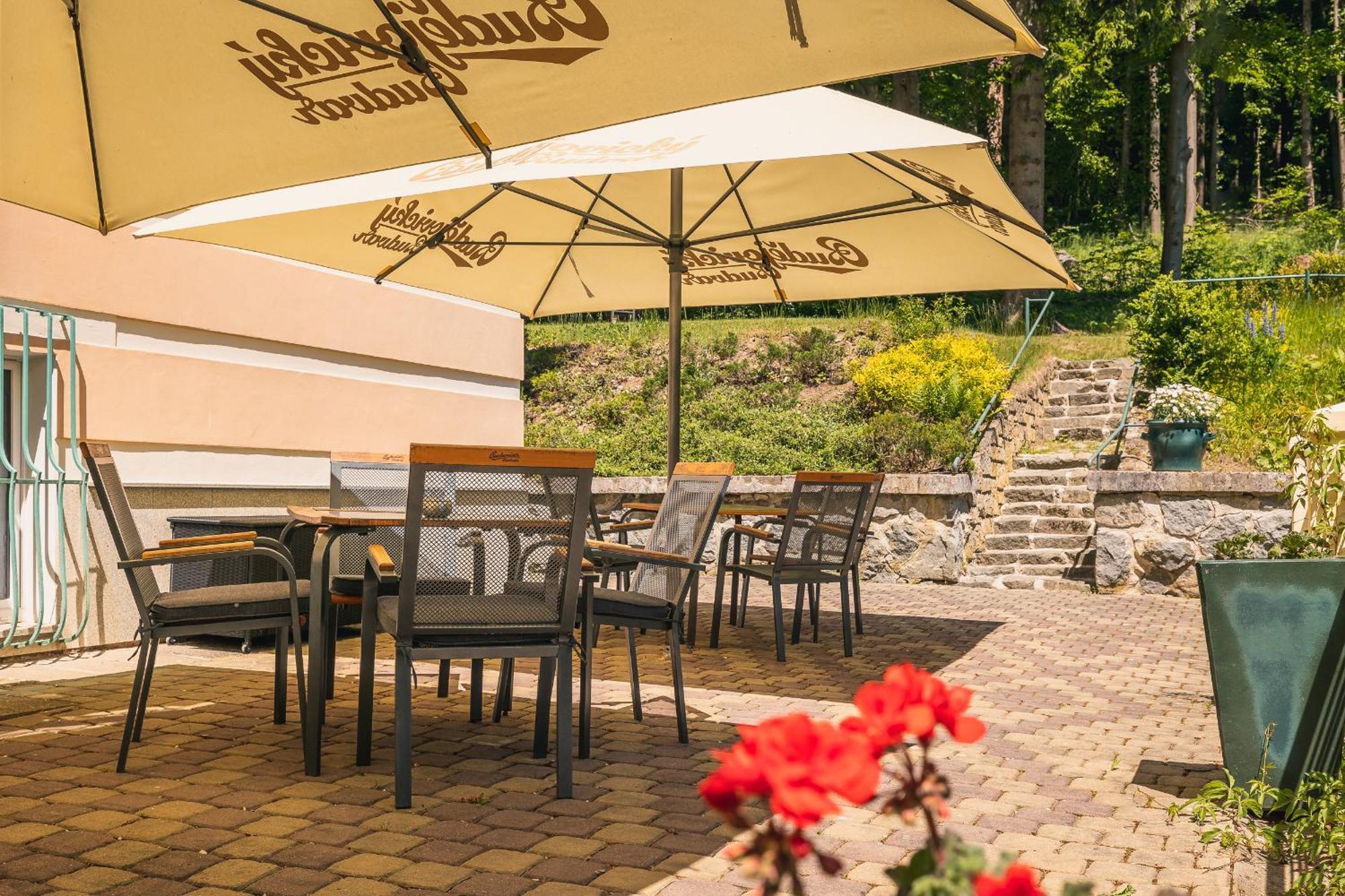 Mariánské Lázně Spa & Wellness Hotel Silva מראה חיצוני תמונה